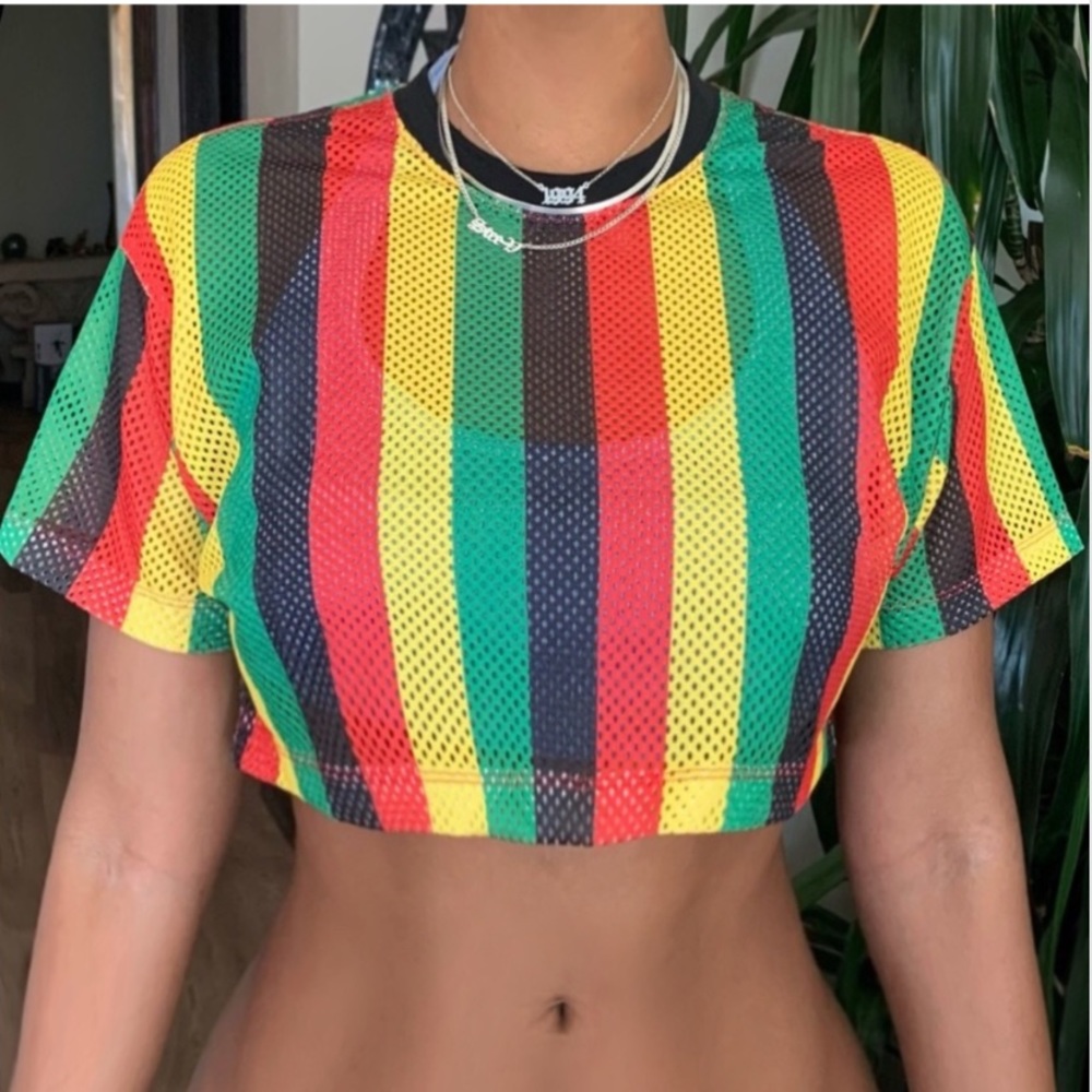 Vertically Striped Cropped Top - image 1